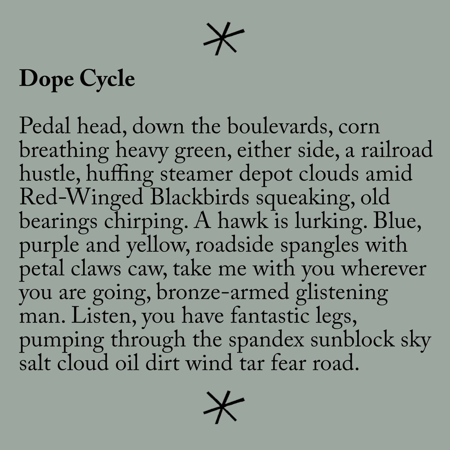 Bicycling Poems