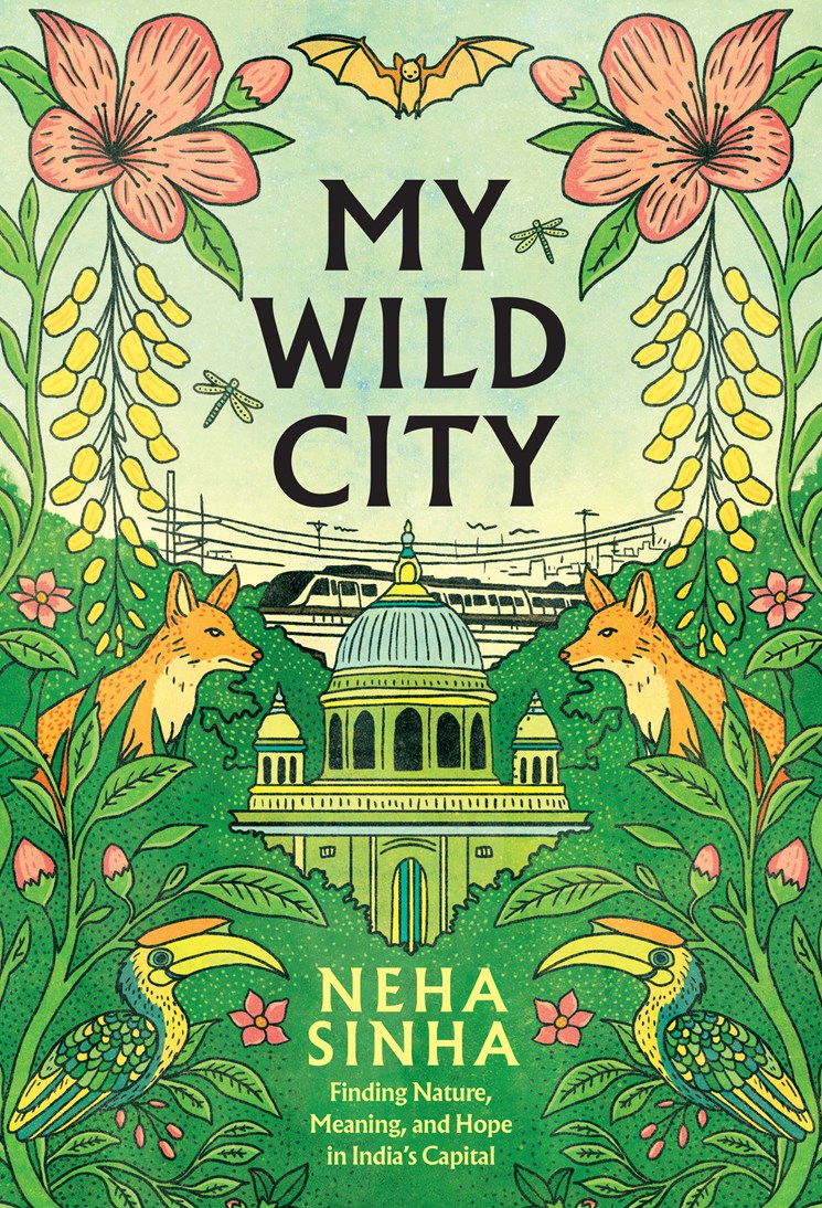 My Wild City