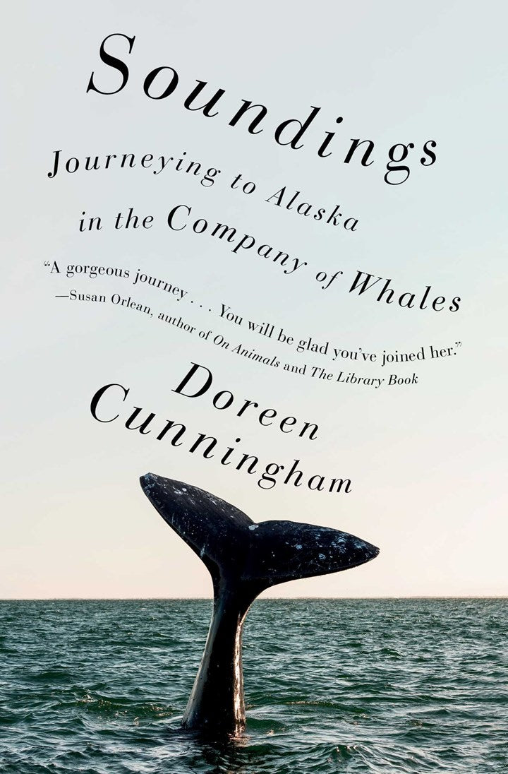 Soundings