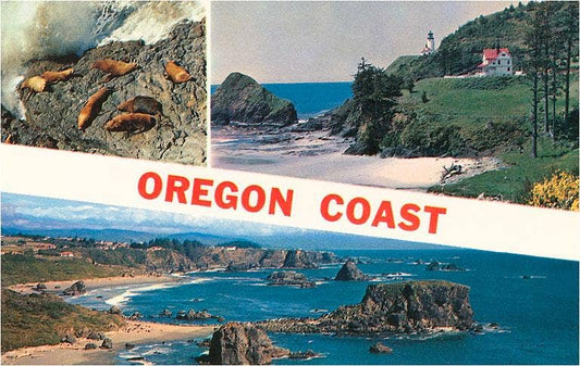 Oregon Coast Postcard