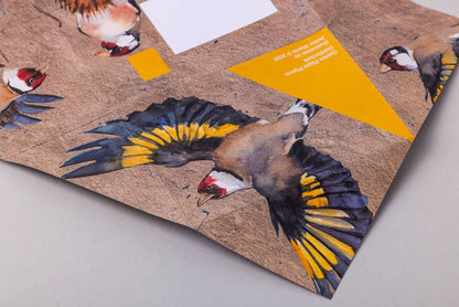 Golden Flight Pigeon Letter Set