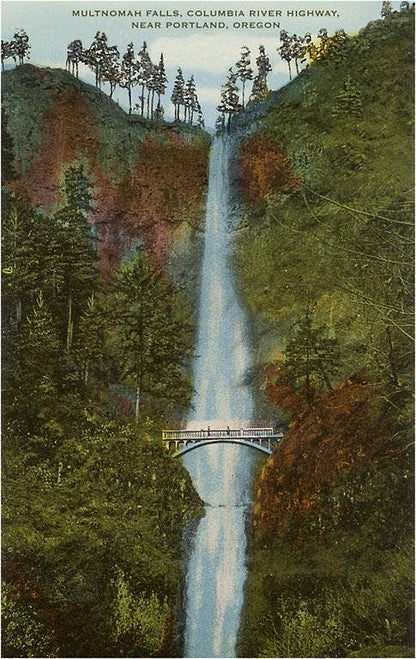 Multnomah Falls Postcard