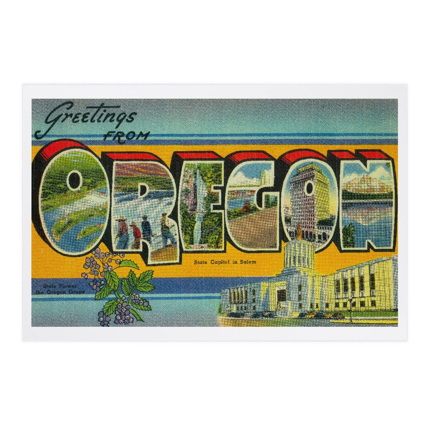 Greetings from Oregon Postcard