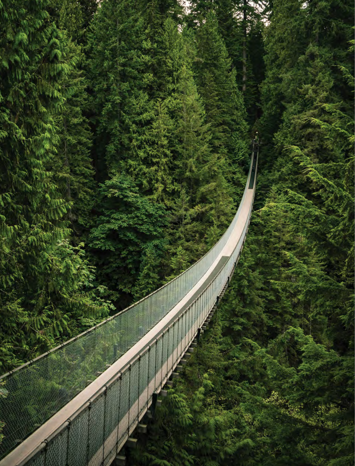 LOST iN Vancouver