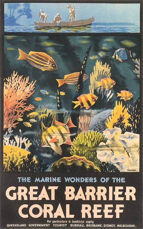 Great Barrier Coral Reef Art Print