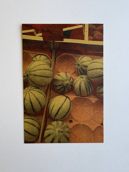 Donastia Postcards Set