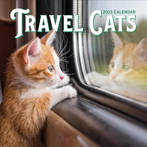 Travel Cats Wall Calendar 2025