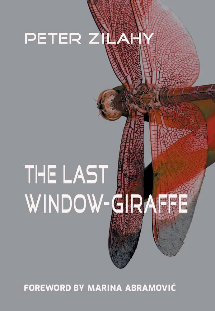 The Last Window-Giraffe