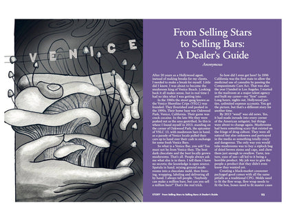 LOST iN Venice Beach