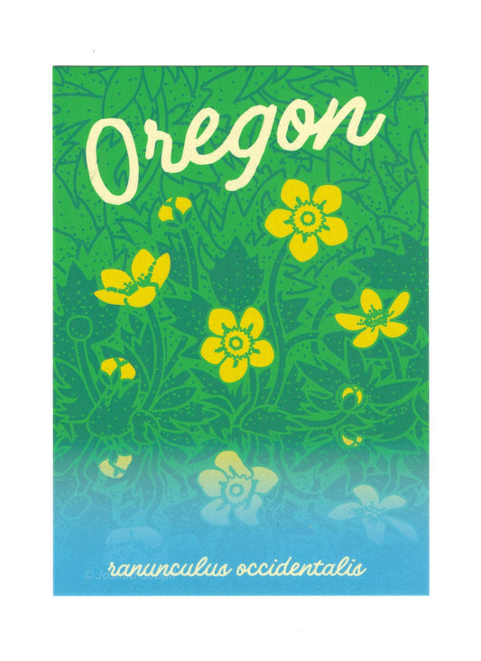 Oregon Western Buttercup Postcard