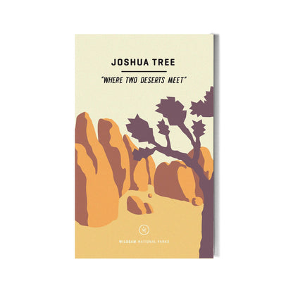 Joshua Tree National Park Guide