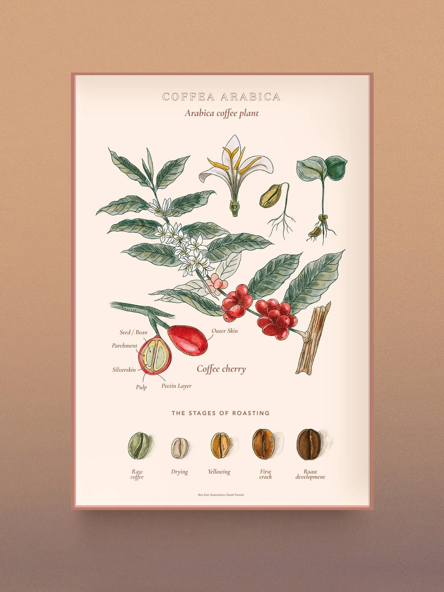 World of Coffee Puzzle