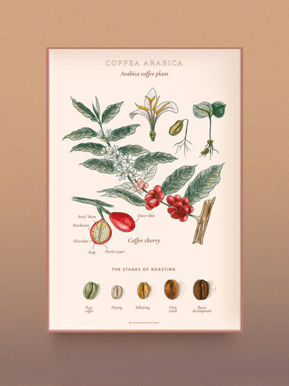 World of Coffee Puzzle