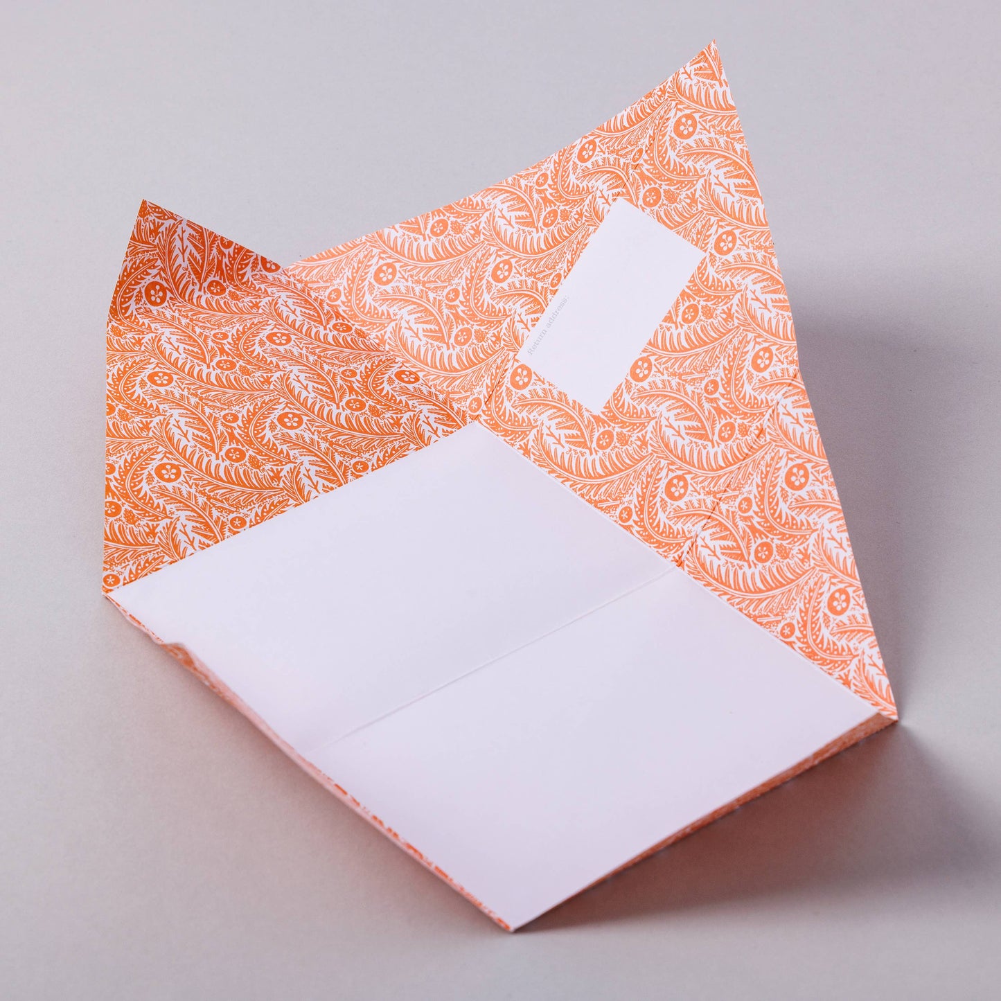 Nature Study Pigeon letter pack