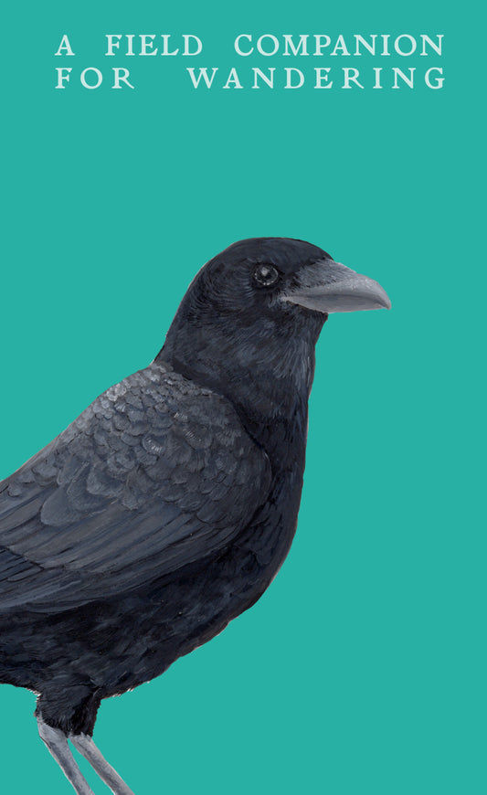 A Field Companion for Wandering